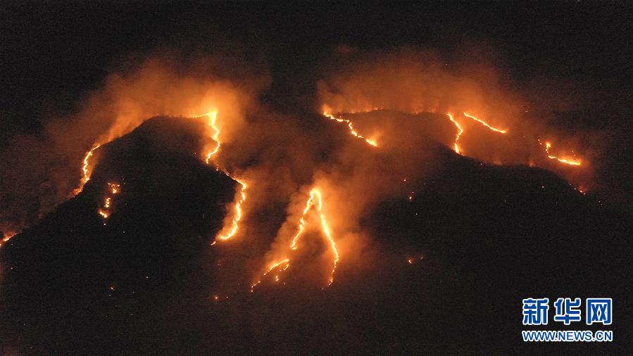 The number of forest fires in Brazil has surged, with more than half occurring in the Amazon rainforest