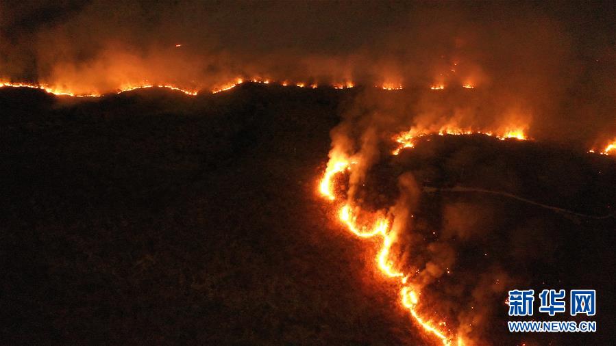 The number of forest fires in Brazil has surged, with more than half occurring in the Amazon rainforest