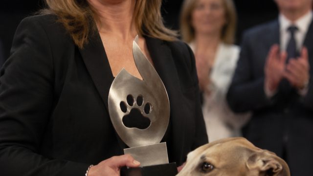 Recognizing Leadership in Animal Welfare: National Award for Lanzarote Advocate