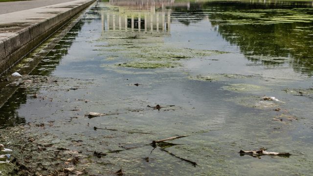 The Reflecting Pool Woes: A Symbol of Environmental Oversight
