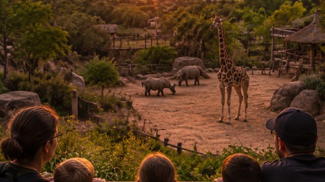 Experience the Magic of Sunset at the Zoo in 2026