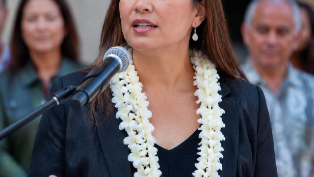 Wallyn Kanoelani Christian's Vision for State Senate District 13