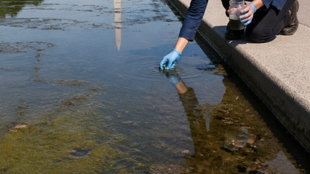 Uncovering the Truth Behind the Reflecting Pool's Condition